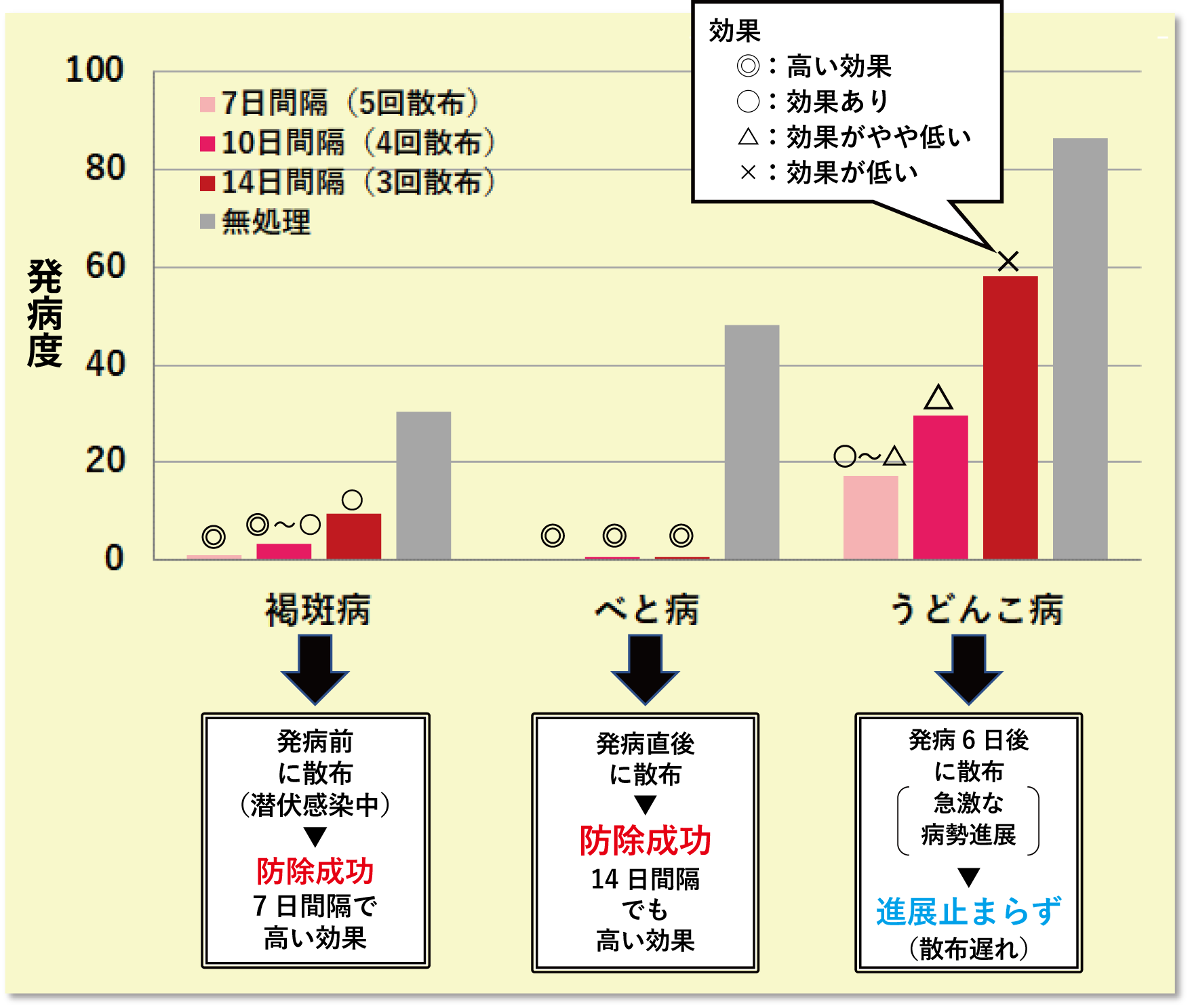 褐斑病→発病前に散布（潜伏期間中）▷防除成功7日間で高い効果　べと病→発病直後に散布▷防除成功14日間隔で高い効果　うどんこ病→発病6日後に散布（急激な病性進展）▷進展止まらず散布遅れ
