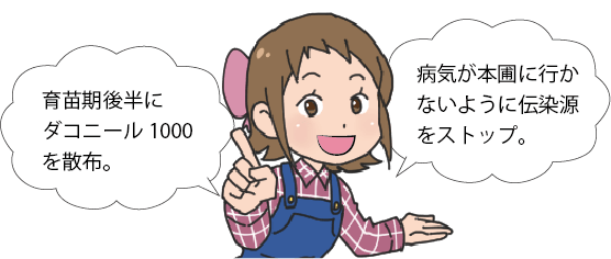 育苗期後半にダコニール1000を散布。病気が本圃に行かないように伝染源をストップ。