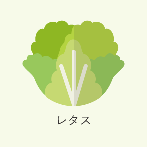 レタス