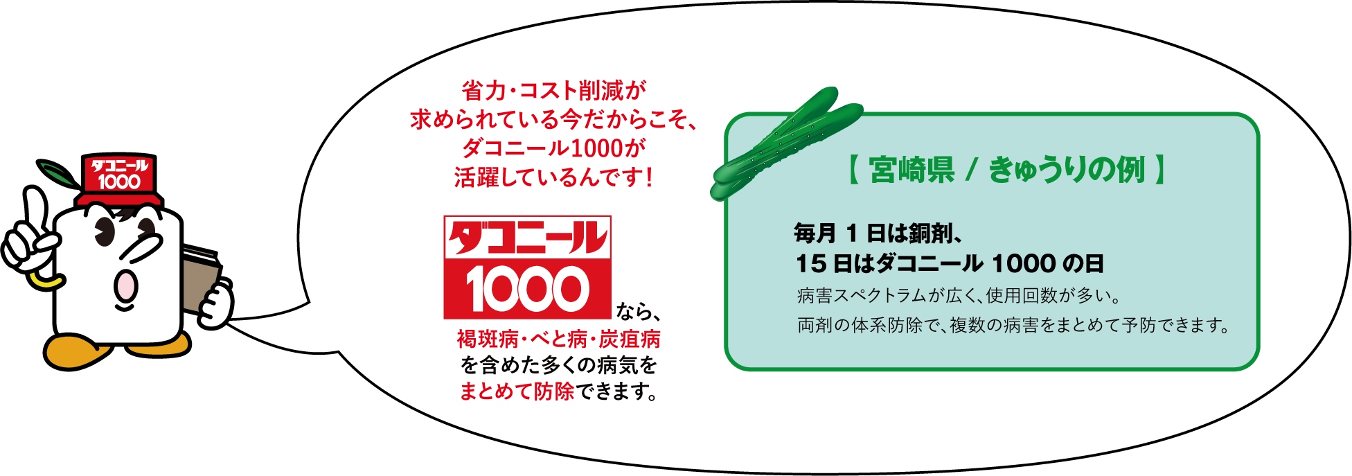 省力・コスト削減が求められている今だからこそ、ダコニール1000が活躍しているんです！ 毎月1日は銅剤、15日はダコニール1000の日 病害スペクトラムが広く、使用回数が多い。両剤の体系防除で、複数の病害をまとめて予防できます。